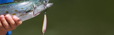 Minnow Jigs