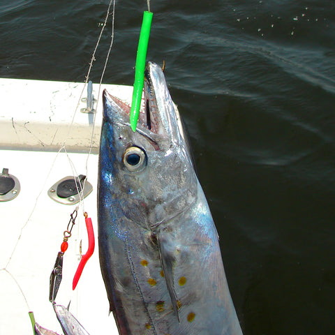 Mackerel Tree Rig - MTR - RIG ONLY - 6 PACK - Clarkspoon Fishing Lures