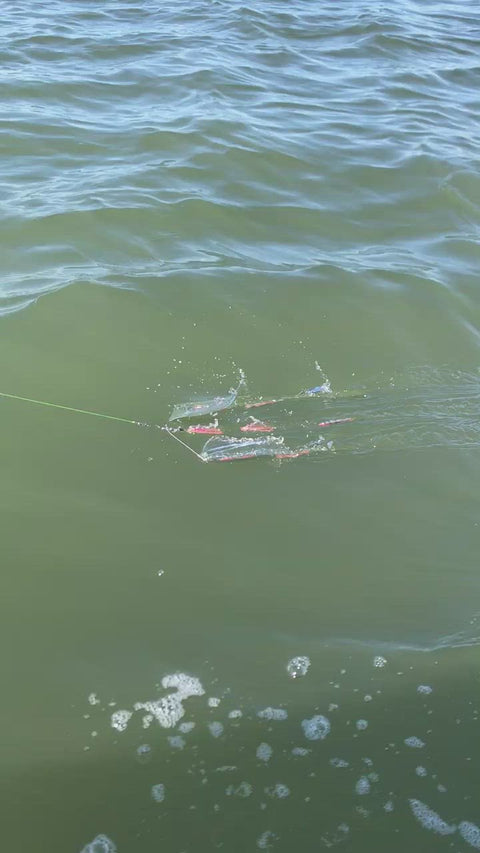 8" Mini Spreader Bar - Rigged w/ Blue Skirts and 0-RBMS Clarkspoon - Clarkspoon Fishing Lures