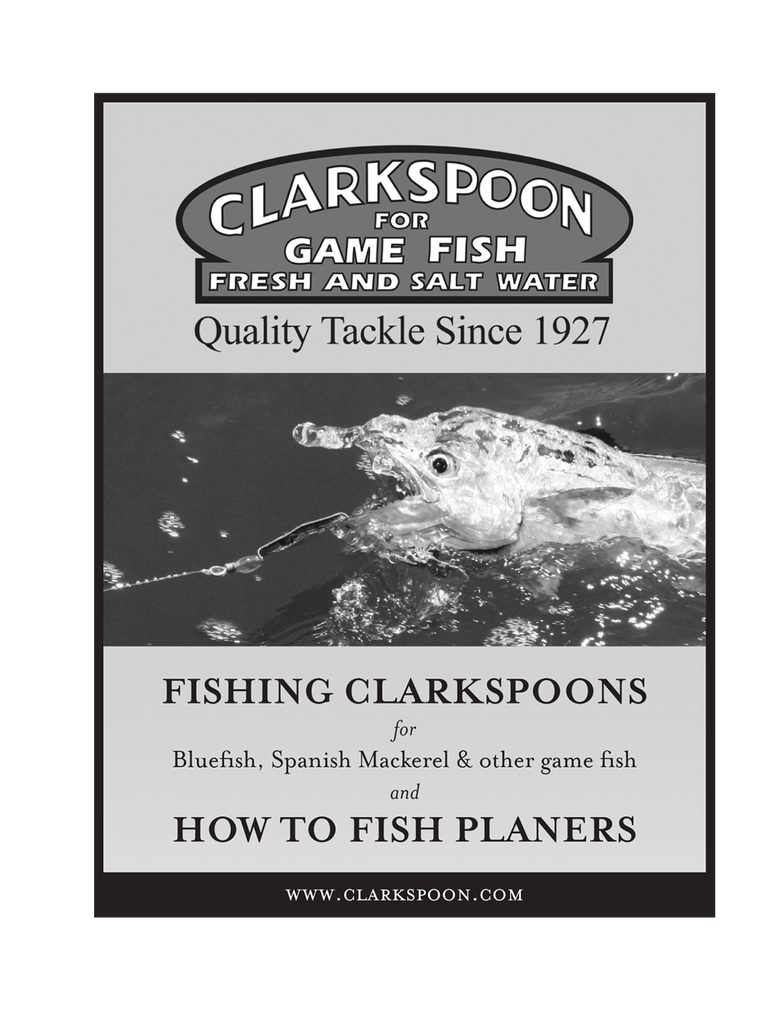  Clarkspoon Rigged R-1RBMG : Fishing Bait Rigs : Sports &  Outdoors