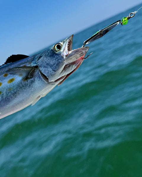 20% Off All Spoons with Code MACK20