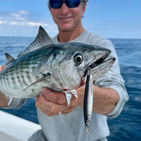 Bonito caught on 1.5 oz. Clarkspoon stick jig 