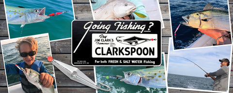 Collection of fish caught by different Clarkspoon lures