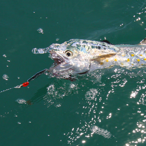 Original Clarkspoons