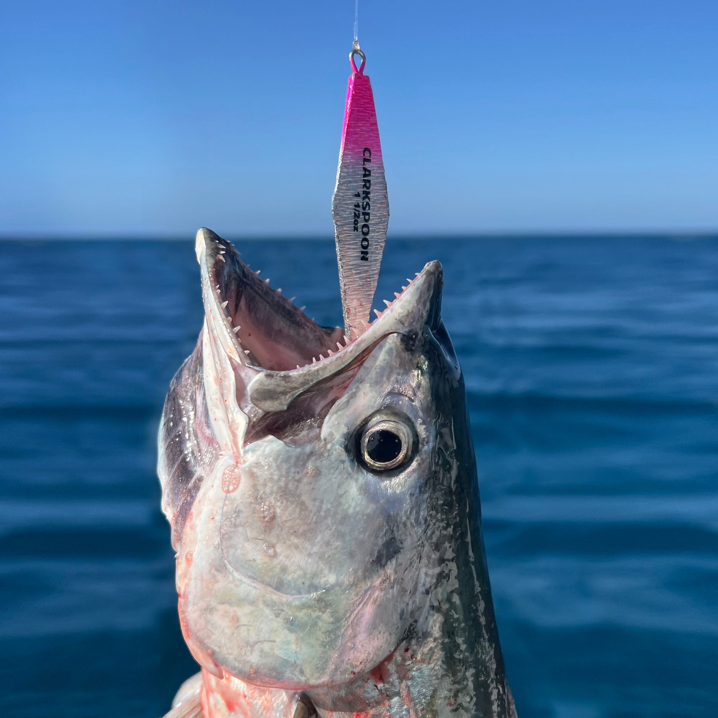 Clarkspoon 1927 Diamond Jig in Silver and Pink