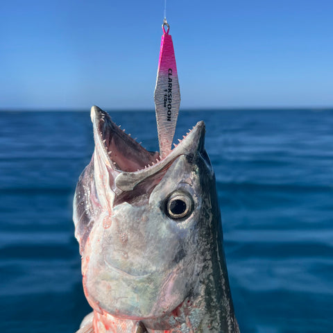 Fish caught on pink and silver diamond jig