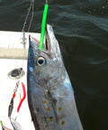 Mackerel Tree Rig - MTR - RIG ONLY - 6 PACK - Clarkspoon Fishing Lures