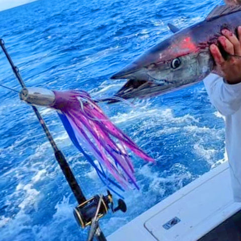 Clarkspoon rigged wahoo trolling lure with wahoo fish