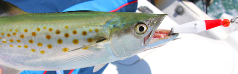 15% Off w/ Code PRES15