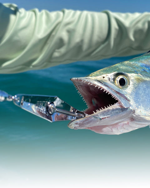 15% Off w/ Code PRES15