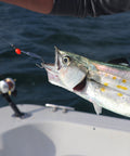 Weighted Clarkspoon - Clarkspoon Fishing Lures